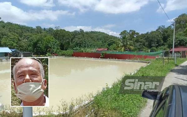 Kolam ternakan ikan air tawar yang diusahakan penduduk Kampung Kolam, Tanjung Rambutan dikhuatiri diancam pencemaran. (Gambar kecil, Abdul Aziz)