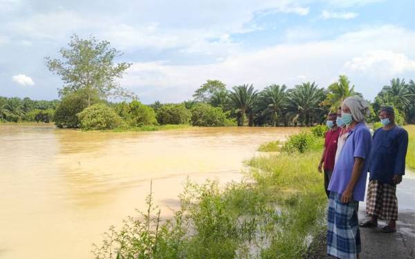 Petani melihat keadaan sawah padi yang ditenggelami air dekat Kampung Guar Chempedak, Kuala Ketil, Kedah pada Khamis.