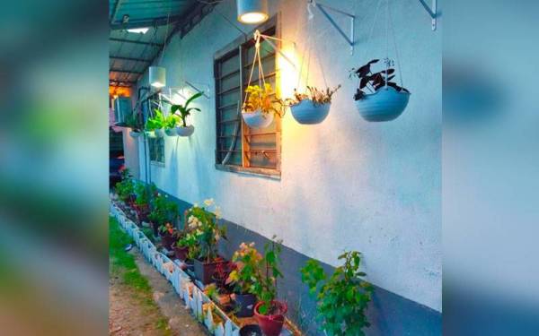 Laman tepi rumah yang bina lanskap mini dengan dihiaskan pokok-pokok keladi, namun hilang dicuri orang.