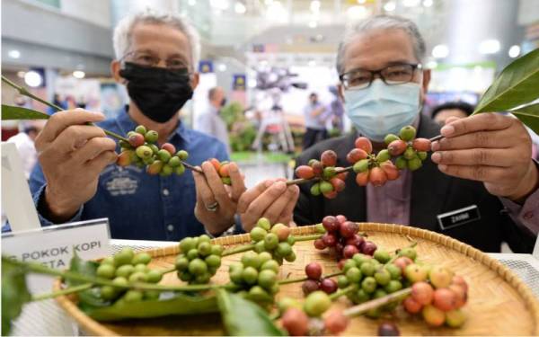 Sambutan Hari Kopi Sedunia 2021 yang disempurnaknan secara maya oleh Ronald yang diadakan di Jabatan Pertanian Malaysia. - Foto Sinar Harian/ Rosli Talib