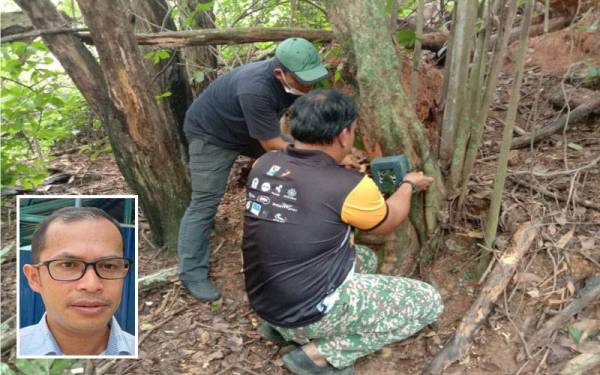Anggota Perhilitan memasang perangkap kamera untuk mengesan spesies haiwan liar di kawasan belukar berdekatan Taman Seremban 3 pada Khamis. (Gambar kecil: Wan Mat)