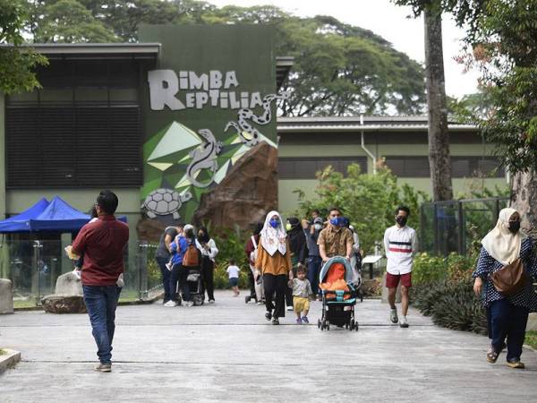 Rata-rata pengunjung mengamalkan Penjarakan Fizikal dan mematuhi Prosedur Operasi Standard (SOP) yang ditetapkan Kerajaan pada hari pertama pembukaan Zoo Negara ketika tinjauan hari ini.