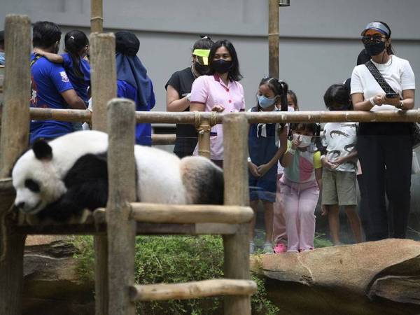 Rata-rata pengunjung mematuhi Prosedur Operasi Standard (SOP) yang ditetapkan Kerajaan pada hari pertama pembukaan Zoo Negara ketika tinjauan hari ini.