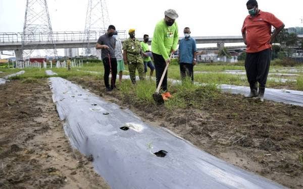 Annuar mencangkul rumput ketika meninjau Projek Kebun Bandar 'Hijrah Warrior' yang diusahakan lebih 40 gelandangan yang tinggal di Anjung Kelana hari ini.  - Foto Bernama