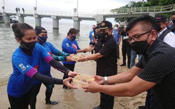 Ahmad (tengah) Norhizam (kanan) menyerahkan ikan nemo untuk dilepaskan di perairan Pulau Udan di sini, pada Sabtu.