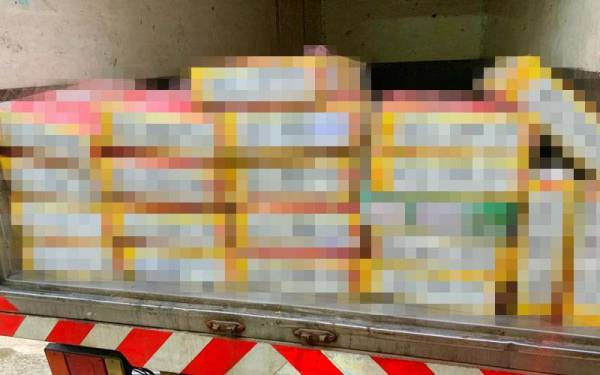 Batalion 7 Pasukan PGA Kuantan menahan dua lelaki dan merampas 480kg daging sejuk beku yang mahu diseludup ke negara jiran dalam serbuan di pangkalan haram Syed Agil, Rantau Panjang pada Sabtu.