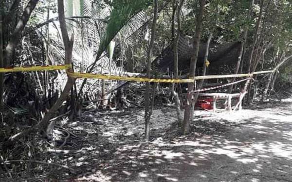 Pemasangan pita larangan pada pokok kayu bakau ketika tinjauan di sekitar Pantai Bumi Hijau, Sabak Bernam pada Khamis.