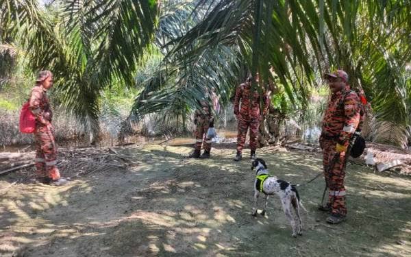 Unit K9 JBPM turut bantu dala operasi SAR mengesan lelaki yang hilang sejak Selasa. - Foto JBPM Perak.
