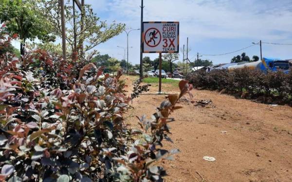 Papan tanda peringatan yang bertulis ‘Jangan curi please sudah 3x tukar’ berjaya menyedarkan orang ramai agar tidak mencuri pokok hiasan yang ditanam pihak MBK.