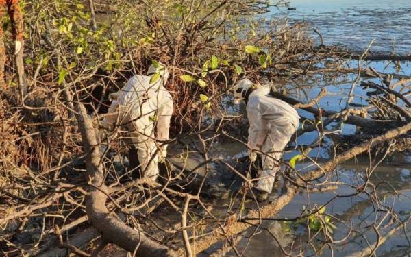 Mayat lelaki warga asing ditemui di Pantai Rambah, Pontian pada Isnin.