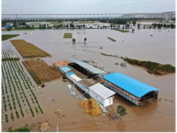 Pemandangan udara menunjukkan Sungai Kuning yang melimpah berhampiran Desa Lianbo di Kota Hejin, wilayah Shanxi, utara China. - Foto Xinhua News Agency/AP