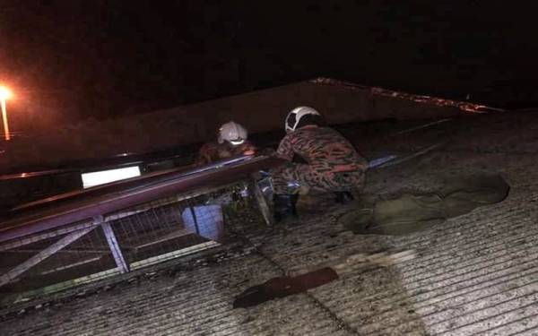 Lelaki yang terperangkap di atas bumbung rumah diselamatkan anggota bomba dari BBP Maran pada Isnin. - Foto Ihsan Bomba