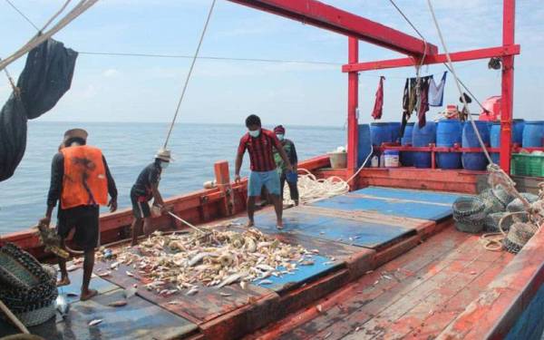 Hasil tangkapan disita Maritim Malaysia untuk tindakan lanjut. Foto: ihsan Maritim Malaysia Perak