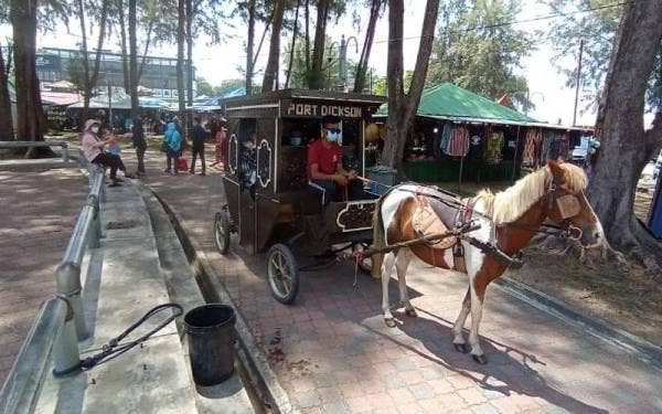 Orang ramai menaiki kereta kuda di Dataran Teluk Kemang.