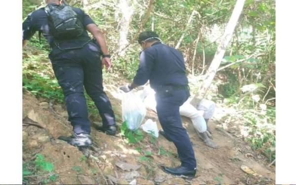 Polis menjalankan siasatan berhubung tindakan lelaki yang mengikat dirinya pada sebatang pokok. Foto: ihsan Bomba Perak.