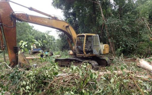 Dua jengkaut disita kerana disyaki digunakan dalam kegiatan pindah balak secara haram dalam kawasan hutan tanah kerajaan Kampung Perlak Mukim Penyor di sini.- Foto JPNP
