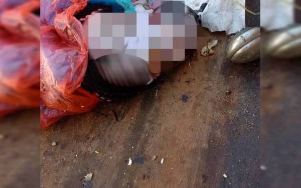 Mayat bayi perempuan yang ditemui di dalam tong sampah pada pagi Sabtu.
