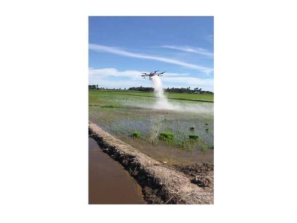 Sektor pertanian akan dipergiat dengan menggunakan teknologi pintar untuk meningkatkan produktiviti.