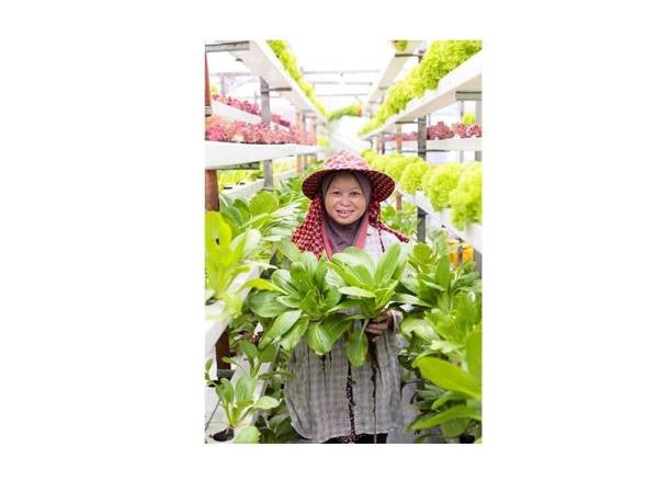 DAN 2.0 bakal meningkatkan pertumbuhan pendapatan dan kualiti hidup yang lebih baik kepada golongan pengusaha pertanian.