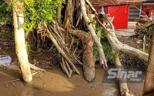 Antara pokok tumbang yang tidak dialihkan mengganggu aliran air terutamanya pada musim hujan.
