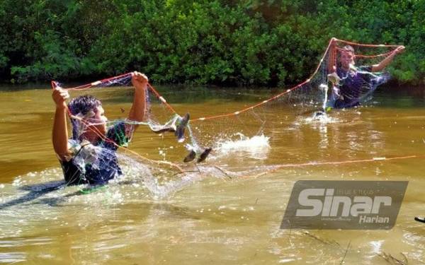 Aminullah (kiri) menjaring ikan tilapia di parit Sungai Burung, di sini untuk dijual di pasaran tempatan.