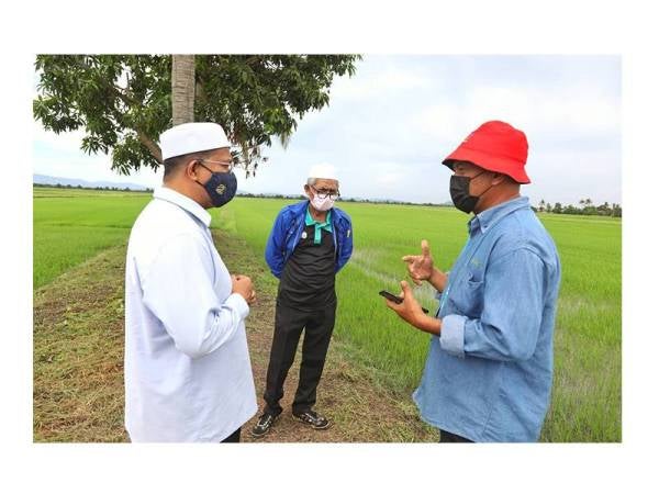 Ahmad Tarmizi (kiri) bersama Pengerusi PPK MADA Kepala Batas, Md Tarmizi Ramli (tengah) mengadakan libat urus bersama peladang MADA di kawasan bagi mendapatkan maklum balas isu semasa.