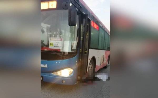 Mangsa tersepit di bawah tayar bawah bas selepas motosikal ditunggangnya terlanggar seekor anjing di Simpang Pulai. - Foto ihsan Bomba Perak