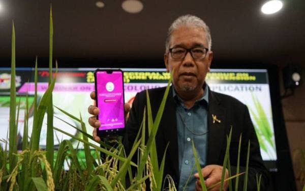 Zahimi menunjukkan aplikasi Leaf Colour Chart (LCC) yang dibangunkan oleh Jabatan Pertanian Malaysia.