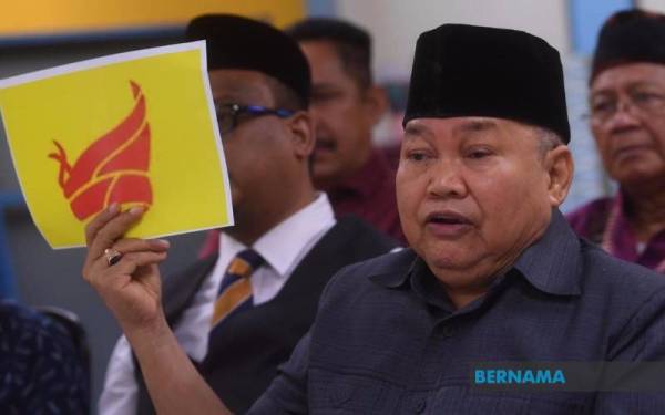 Ibrahim Ali - Foto fail Bernama