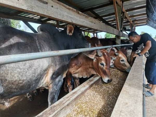 Petani, penternak dan nelayan di Sarawak disaran supaya meneroka, menggunakan dan menguasai teknologi baharu untuk meningkatkan hasil. Gambar hiasan
