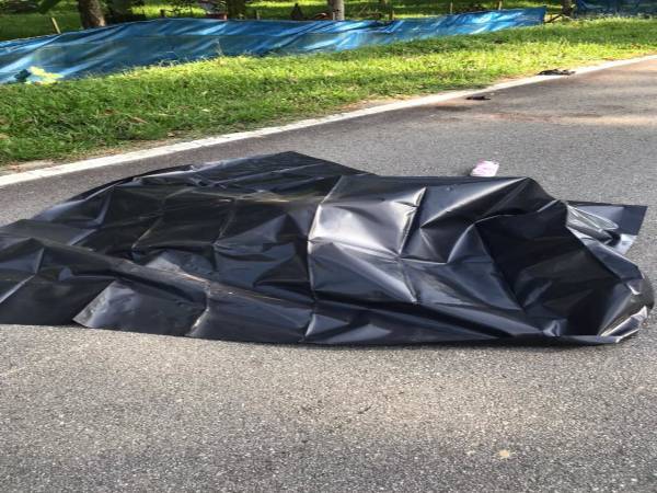 Seorang wanita maut selepas dipercayai melanggar seekor babi di Kilometer 2 Jalan Air Mawang-Renggoh di sini pada pagi Isnin.