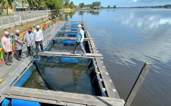Mohd Amar (dua dari kiri) melihat ternakan ikan sangkar semasa merasmikan pembukaan Restoran D' Terapung Pantai Sri Tujuh, Tumpat pada Isnin.