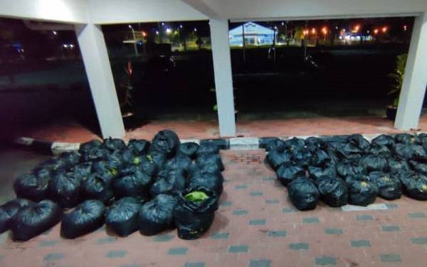 Antara daun ketum yang dirampas dalam dua serbuan berasingan pada Isnin. - Foto: Ihsan PDRM