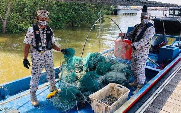 Agensi Penguatkuasaan Maritim Malaysia (Maritim Malaysia) Zon Maritim Kuala Kedah menunjukkan sebahagian bubu kambang yang dirampas sepanjang tempoh Januari hingga 16 November tahun ini.