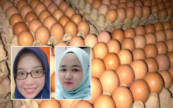 Harga telur ayam naik RM1.50 sepapan iaitu RM13.50 berbanding RM12 sepapan sebelum ini di sekitar Kota Bharu.(Gambar hiasan), gambar kecil dari kiri: Aminah Munirah, Siti Adha Farahani