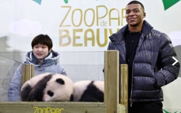 Mbappe bersama Zhang Jiaqi menjadi ibu bapa angkat kepada Yuandudu dan Huanlili. FOTO: REUTERS