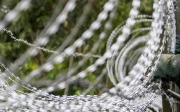 PKPD di Ladang FGV Tembangau 7 di Bera, Pahang akan dilaksana selama dua minggu mulai Ahad ini. - Gambar hiasan