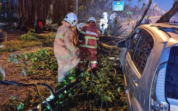 Anggota bomba memotong pokok tumbang yang menghempap kereta dinaiki tiga beranak di Jalan Batu 1 Kapar, Klang pada Sabtu.