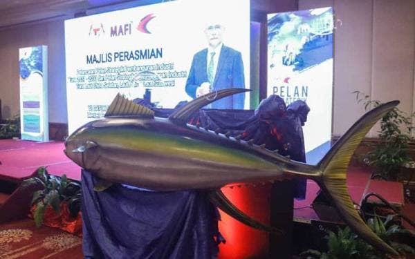 Majlis pelancaran kedua-dua pelan strategik pembangunan industri tuna negara itu diadakan di Labuan pada Isnin.