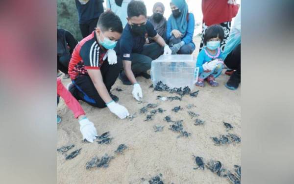 Abdullah (dua dari kiri) melepaskan anak penyu pada Program Kesedaran Awam Terhadap Kepentingan Pemuliharaan Sumber Marin Pahang 2021 di Pusat Konservasi dan Penerangan Penyu Cherating.