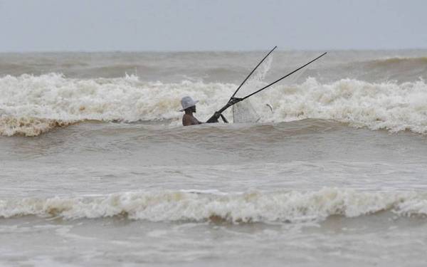 Seorang nelayan pantai sedang mengharungi ombak besar bagi menyauk ikan belanak pada musim tengkujuh ketika tinjauan foto Bernama di Pantai Baru hari ini.
