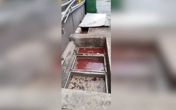 Sebuah kilang proses ayam di Kajang dikesan melepaskan air cucian lantai dan peralatan memproses ayam ke longkang awam.