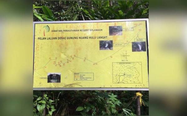 - Foto Sumber internet