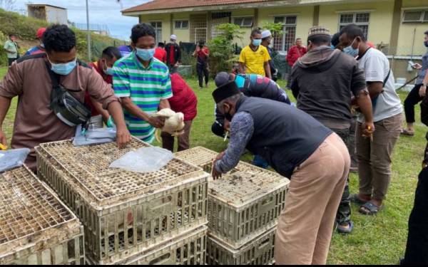 Masyarakat orang asli diberi peluang menyembelih ayam sendiri bagi memastikan mereka faham dan ilmu yang diberikan dimanfaatkan sebaik mungkin.