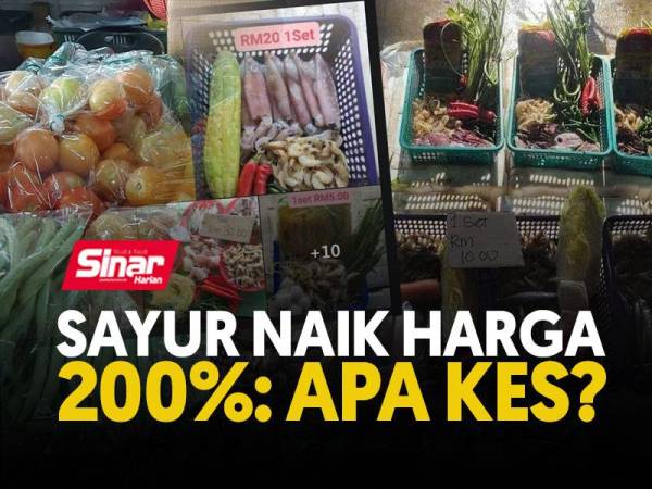 cover-sayur-naik-NP