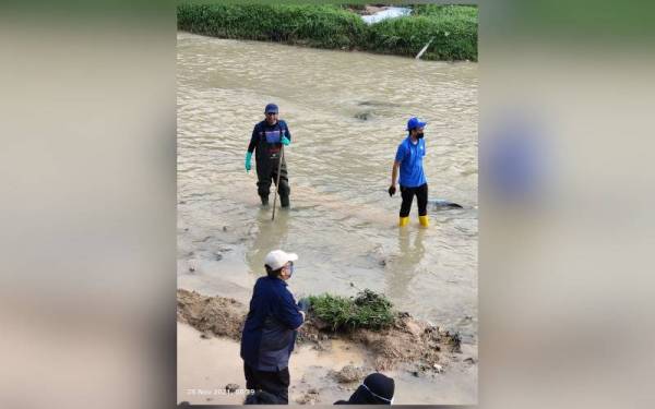 Kudah diadakan pada Ahad pada minggu terakhir setiap bulan Aktiviti tersebut bertujuan membersihkan lembangan sungai yang tercemar, memulihkan habitat semulajadi flora dan fauna di samping menghidupkan semula aktiviti tebing sungai bagi masyarakat setempat.