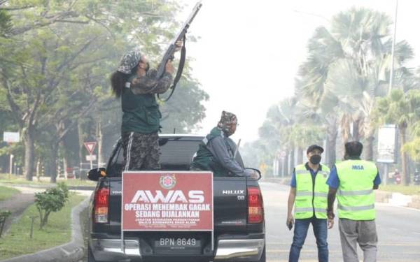 Penembak melakukan operasi menembak burung gagak sekitar kawasan pentadbiran MBSA pada Ahad.