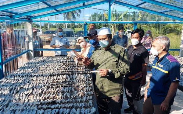 Mohd Akmal (tiga dari kanan) meninjau proses pengeringan ikan belanak masam dengan kaedah Rumah Pengeringan Solar Pintar di Tanjung Piandang di sini.