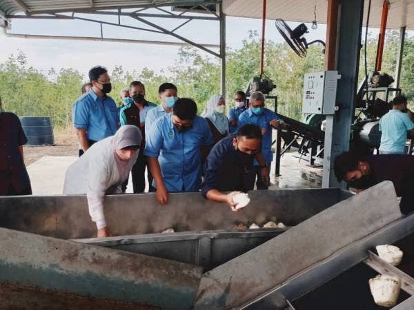 Zuraida (kiri) melihat proses getah krip ketika lawatan kerja ke Stesen Penyelidikan Sungai Sari (SPSS) Lembaga Getah Malaysia (LGM) di Padang Sanai di sini pada Rabu.
