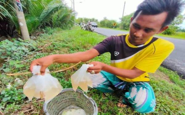 Gambar kenangan Zulhusni membantu keluarga menyediakan bekalan nira nipah untuk dijual.
- Foto media sosial